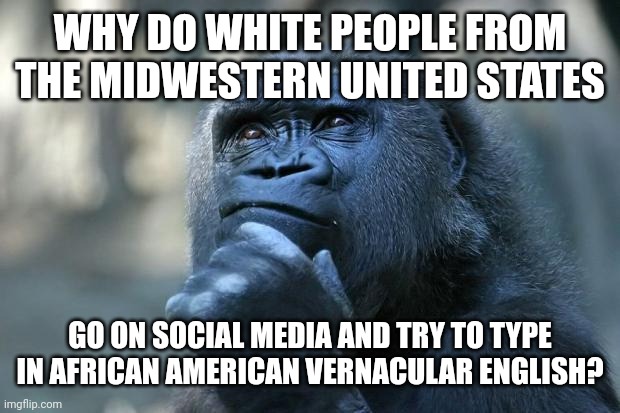 Is that your authentic authorial voice? | WHY DO WHITE PEOPLE FROM THE MIDWESTERN UNITED STATES; GO ON SOCIAL MEDIA AND TRY TO TYPE IN AFRICAN AMERICAN VERNACULAR ENGLISH? | image tagged in deep thoughts,language,english,white people,social media,posers | made w/ Imgflip meme maker