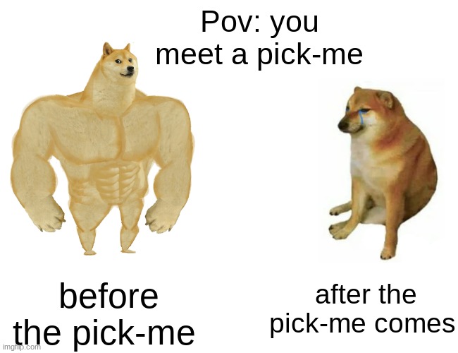 Buff Doge vs. Cheems | Pov: you meet a pick-me; before the pick-me; after the pick-me comes | image tagged in memes,buff doge vs cheems | made w/ Imgflip meme maker