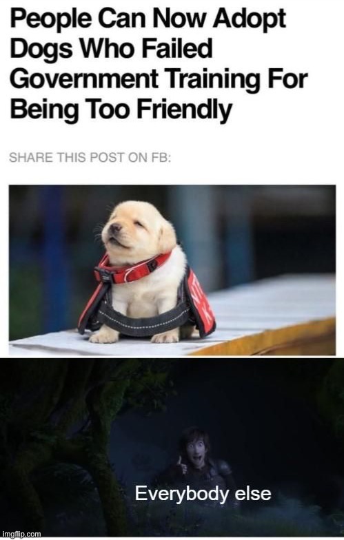 image tagged in memes,funny | made w/ Imgflip meme maker