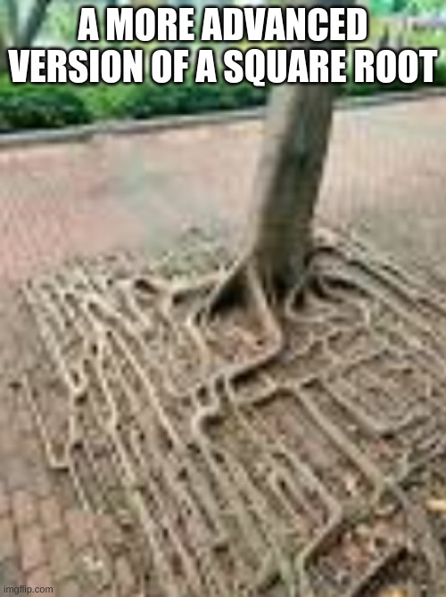 A MORE ADVANCED VERSION OF A SQUARE ROOT | made w/ Imgflip meme maker