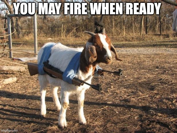 Call of Duty Goat | YOU MAY FIRE WHEN READY | image tagged in call of duty goat | made w/ Imgflip meme maker