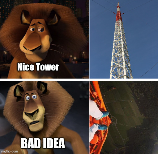 Nice Tower, bad idea | Nice Tower; BAD IDEA | image tagged in lattice climbing,alex,madagascar,meme,template,gittersteigen | made w/ Imgflip meme maker