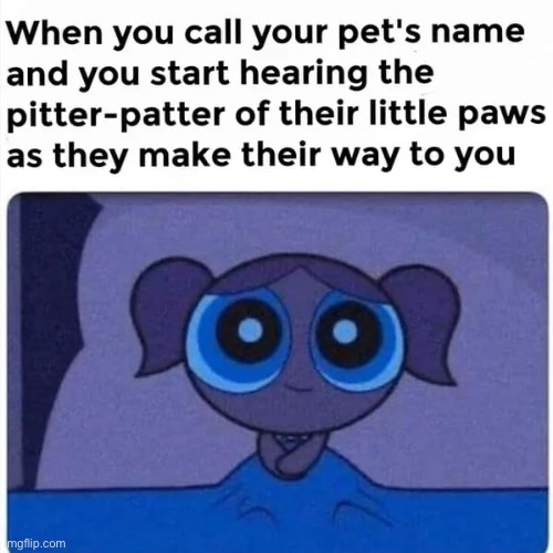 This is relatable❤️ | image tagged in cute,wholesome | made w/ Imgflip meme maker