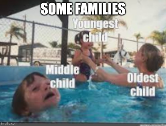 Different kids in the family | SOME FAMILIES | image tagged in funny | made w/ Imgflip meme maker