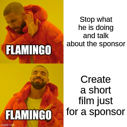 more companies should sponsor him | Stop what he is doing and talk about the sponsor; FLAMINGO; Create a short film just for a sponsor; FLAMINGO | image tagged in memes,drake hotline bling | made w/ Imgflip meme maker