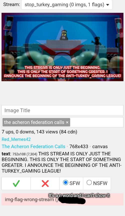 Guys, a turkey gaming alt flagged that meme ? | It's a n word and I can't show it | image tagged in turkey,gaming | made w/ Imgflip meme maker