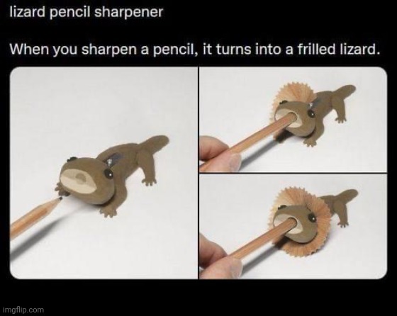 Lizard pencil sharpener | image tagged in lizard pencil sharpener,repost,reposts,memes,lizard,pencil sharpener | made w/ Imgflip meme maker