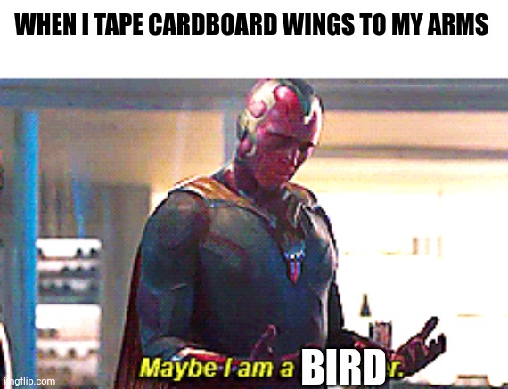 Maybe I am a bird | WHEN I TAPE CARDBOARD WINGS TO MY ARMS; BIRD | image tagged in maybe i am a monster | made w/ Imgflip meme maker