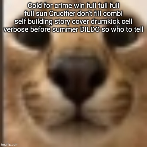 Whar | Cold for crime win full full full full sun Crucifier don't fill combi self building story cover drumkick cell verbose before summer DILDO so who to tell | image tagged in whar | made w/ Imgflip meme maker