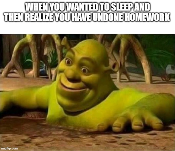 Homeworks :( | WHEN YOU WANTED TO SLEEP AND THEN REALIZE YOU HAVE UNDONE HOMEWORK | image tagged in shrek | made w/ Imgflip meme maker