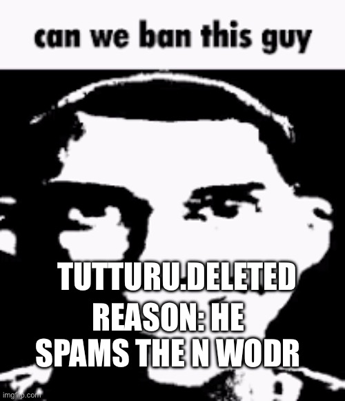 Can we ban this guy | TUTTURU.DELETED; REASON: HE SPAMS THE N WODR | image tagged in can we ban this guy | made w/ Imgflip meme maker