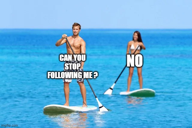 following someone is fun | CAN YOU STOP FOLLOWING ME ? NO | image tagged in two people kayaking | made w/ Imgflip meme maker