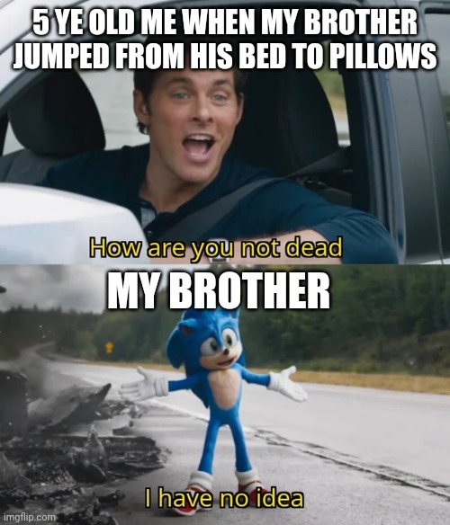 Sonic I have no idea | 5 YE OLD ME WHEN MY BROTHER JUMPED FROM HIS BED TO PILLOWS; MY BROTHER | image tagged in sonic i have no idea | made w/ Imgflip meme maker