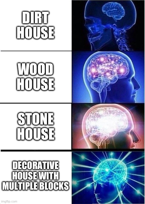 Houses in Survival | DIRT HOUSE; WOOD HOUSE; STONE HOUSE; DECORATIVE HOUSE WITH MULTIPLE BLOCKS | image tagged in memes,expanding brain | made w/ Imgflip meme maker