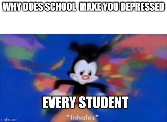 school makes you depressed like i didn't know that...... | WHY DOES SCHOOL  MAKE YOU DEPRESSED; EVERY STUDENT | image tagged in yakko inhale,school,funny memes,depression,memes | made w/ Imgflip meme maker