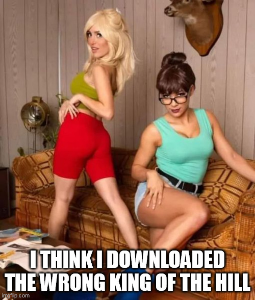 I think I downloaded the wrong King of the Hill | I THINK I DOWNLOADED THE WRONG KING OF THE HILL | image tagged in king of the hill,funny,porn,female,sex | made w/ Imgflip meme maker