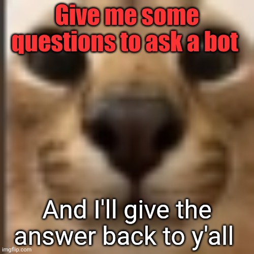 Whar | Give me some questions to ask a bot; And I'll give the answer back to y'all | image tagged in whar | made w/ Imgflip meme maker