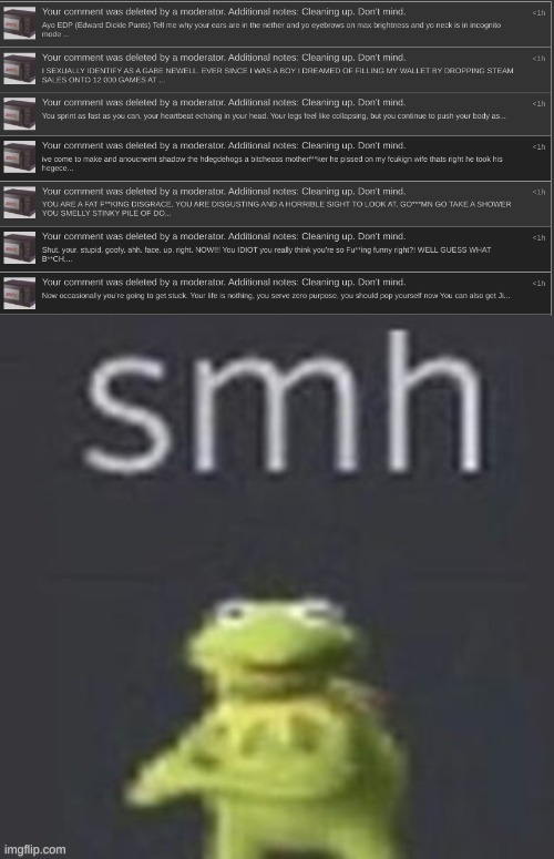 i get that you want quality, but the archives are just archives for every copypasta, regardless of quality. dupes can be cleaned | image tagged in smh kermit | made w/ Imgflip meme maker