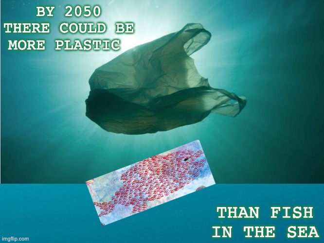 Swimmy says: time to band together | BY 2050 THERE COULD BE MORE PLASTIC; THAN FISH IN THE SEA | image tagged in pollution,plastic,new template,ocean,future | made w/ Imgflip meme maker