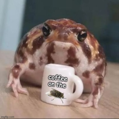 coffee on the fly | image tagged in toad,frog,mug | made w/ Imgflip meme maker