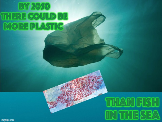 Not that far off . . . | BY 2050 THERE COULD BE MORE PLASTIC; THAN FISH IN THE SEA | image tagged in plastic,pollution,ocean,climate,climate change,back to the future | made w/ Imgflip meme maker