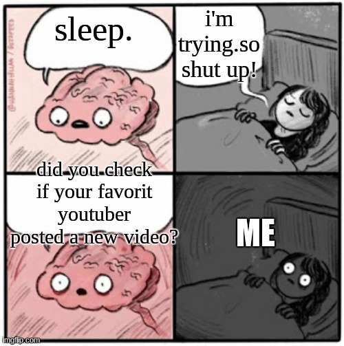 Brain Before Sleep | i'm trying.so shut up! sleep. did you check if your favorit youtuber posted a new video? ME | image tagged in brain before sleep | made w/ Imgflip meme maker