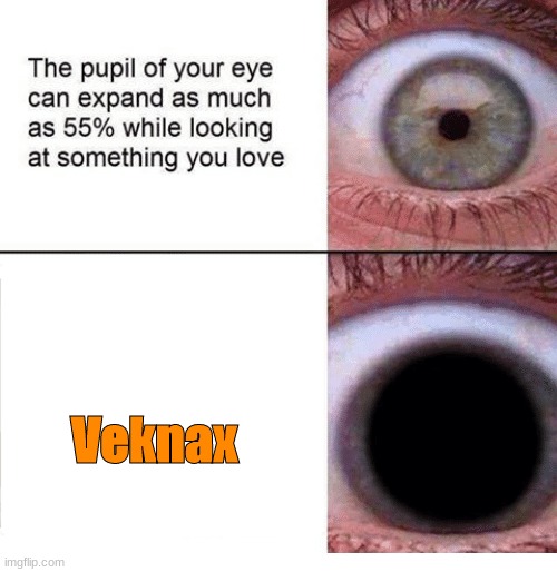 how ba-a-a-ad can i be | Veknax | image tagged in the pupil of your eye can expand | made w/ Imgflip meme maker
