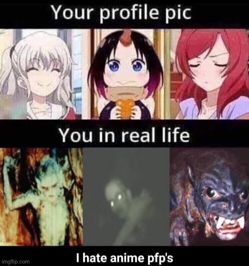 I hate anime pfps | made w/ Imgflip meme maker