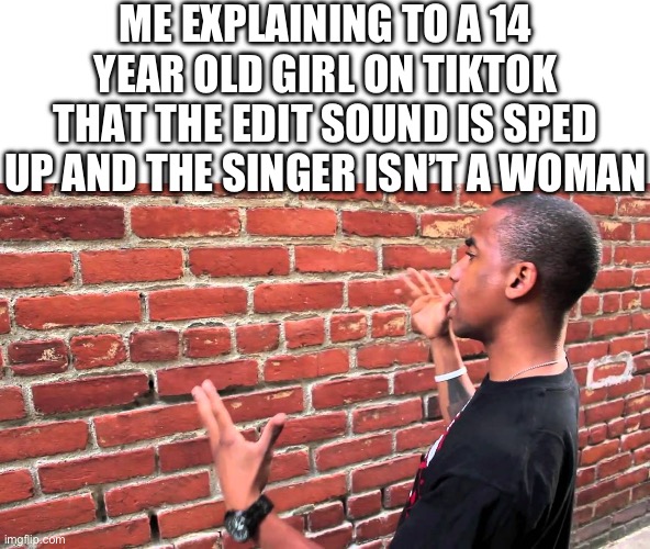 Yes patrick that is a cover of a tally hall song | ME EXPLAINING TO A 14 YEAR OLD GIRL ON TIKTOK THAT THE EDIT SOUND IS SPED UP AND THE SINGER ISN’T A WOMAN | image tagged in talking to wall | made w/ Imgflip meme maker