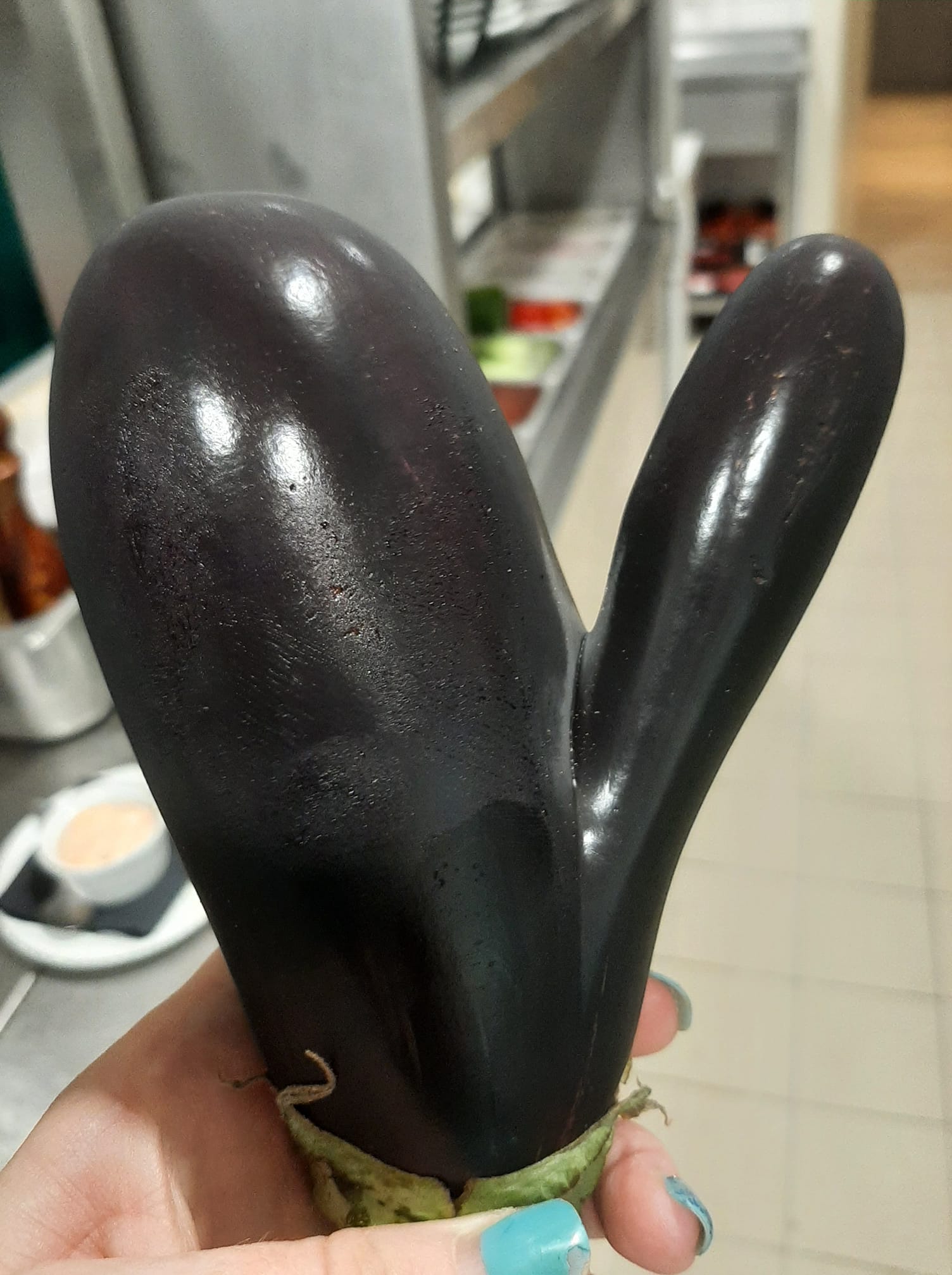 Eggplant Blank Meme Template