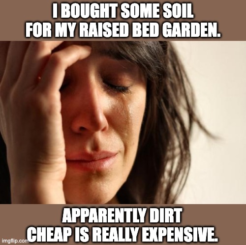 Dirt | I BOUGHT SOME SOIL FOR MY RAISED BED GARDEN. APPARENTLY DIRT CHEAP IS REALLY EXPENSIVE. | image tagged in memes,first world problems | made w/ Imgflip meme maker