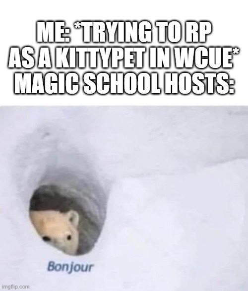 The kittypet role may as well not exist anymore since the kittypet house is always claimed by magic schools | ME: *TRYING TO RP AS A KITTYPET IN WCUE*
MAGIC SCHOOL HOSTS: | image tagged in bonjour | made w/ Imgflip meme maker