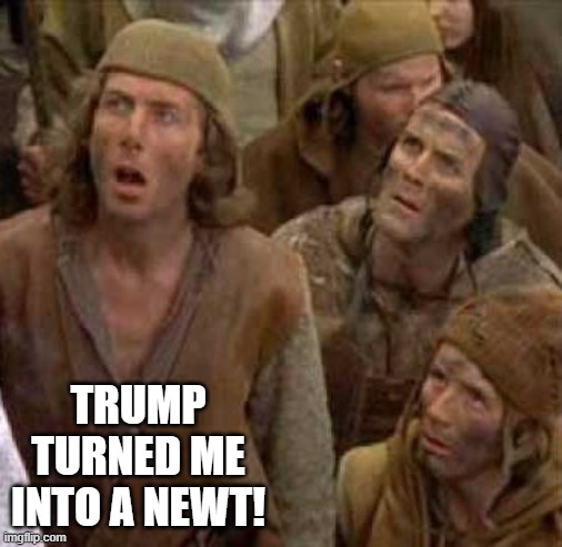 He weighs the same as a duck too! | TRUMP TURNED ME INTO A NEWT! | image tagged in turned me into a newt,donald trump,witch hunt,politics,government corruption,liberal hypocrisy | made w/ Imgflip meme maker
