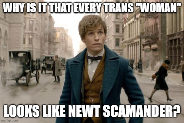 I'm not the only one who sees it am I? | WHY IS IT THAT EVERY TRANS "WOMAN"; LOOKS LIKE NEWT SCAMANDER? | image tagged in politics,transgender,funny memes,stupid liberals,mental health,harry potter | made w/ Imgflip meme maker