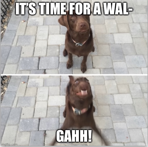 IT’S TIME FOR A WAL-; GAHH! | made w/ Imgflip meme maker