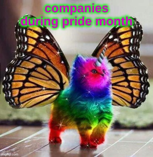 Rainbow unicorn butterfly kitten | companies during pride month | image tagged in rainbow unicorn butterfly kitten | made w/ Imgflip meme maker