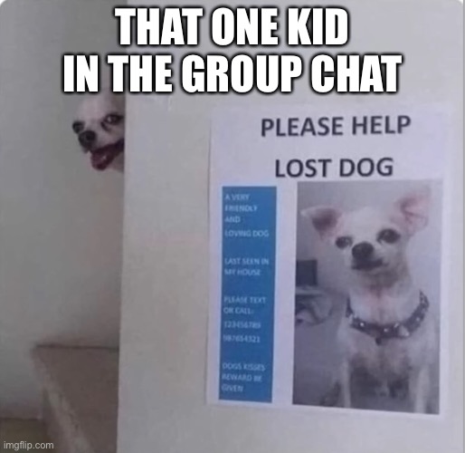 I SWEAR TO GOD- | THAT ONE KID IN THE GROUP CHAT | image tagged in dog,dogs,cute dog,puppy,doggos,dogs are dumb | made w/ Imgflip meme maker