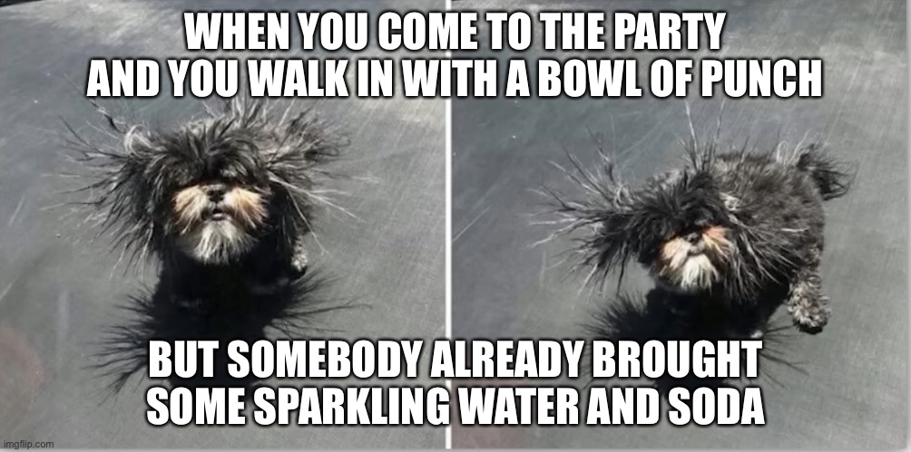 WHEN YOU COME TO THE PARTY AND YOU WALK IN WITH A BOWL OF PUNCH; BUT SOMEBODY ALREADY BROUGHT SOME SPARKLING WATER AND SODA | made w/ Imgflip meme maker