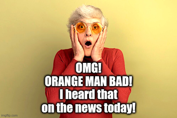 OMG Orange Man Bad! I Heard That On The News! | image tagged in donald trump,trial,mainstream media,omg,orange man bad | made w/ Imgflip meme maker