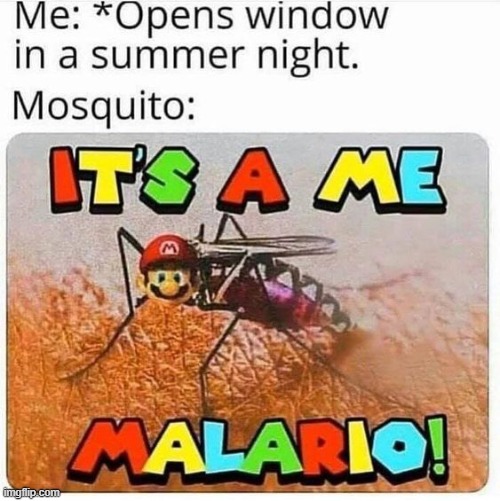 image tagged in memes | made w/ Imgflip meme maker