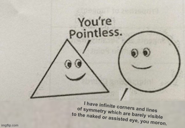 You're Pointless Blank | I have infinite corners and lines of symmetry which are barely visible to the naked or assisted eye, you moron. | image tagged in you're pointless blank,memes,funny | made w/ Imgflip meme maker