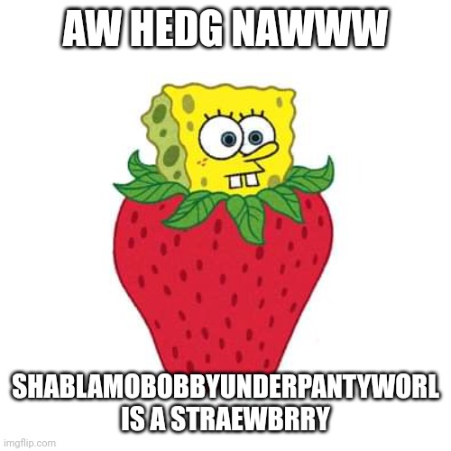 Yet another spunch bop meme | AW HEDG NAWWW; SHABLAMOBOBBYUNDERPANTYWORL IS A STRAEWBRRY | image tagged in spunch bop | made w/ Imgflip meme maker