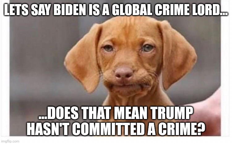 Simple question really. | LETS SAY BIDEN IS A GLOBAL CRIME LORD... ...DOES THAT MEAN TRUMP HASN'T COMMITTED A CRIME? | image tagged in ah naw | made w/ Imgflip meme maker