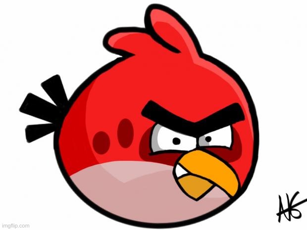 Angry Bird | image tagged in angry bird | made w/ Imgflip meme maker