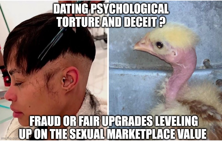 Cluck | DATING PSYCHOLOGICAL TORTURE AND DECEIT ? FRAUD OR FAIR UPGRADES LEVELING UP ON THE SEXUAL MARKETPLACE VALUE | image tagged in funny memes | made w/ Imgflip meme maker