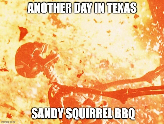 Fire skeleton | ANOTHER DAY IN TEXAS; SANDY SQUIRREL BBQ | image tagged in fire skeleton | made w/ Imgflip meme maker