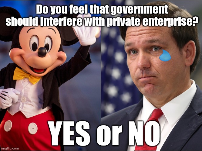 Or how about the private lives of private citizens? | Do you feel that government should interfere with private enterprise? YES or NO | image tagged in disney,woke,big government,feelings,free market,communism and capitalism | made w/ Imgflip meme maker