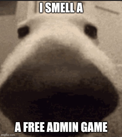 Sniff dog | I SMELL A A FREE ADMIN GAME | image tagged in sniff dog | made w/ Imgflip meme maker