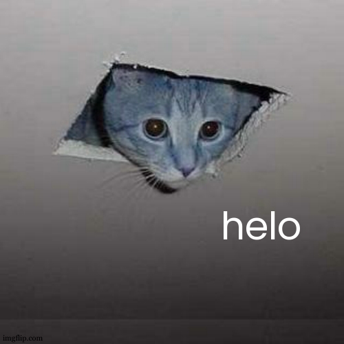 Ceiling Cat | helo | image tagged in memes,ceiling cat | made w/ Imgflip meme maker
