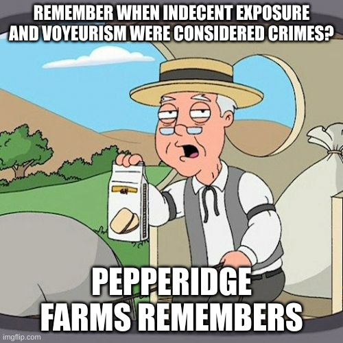 voyerism | REMEMBER WHEN INDECENT EXPOSURE AND VOYEURISM WERE CONSIDERED CRIMES? PEPPERIDGE FARMS REMEMBERS | image tagged in memes,pepperidge farm remembers | made w/ Imgflip meme maker